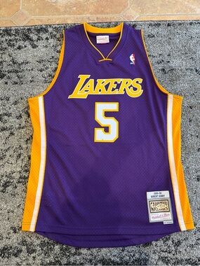 Mitchell & Ness Los Angeles Lakers Robert Horry Hardwood Classics Jersey